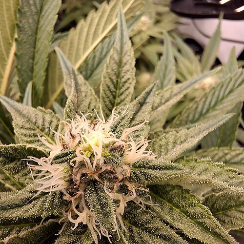 475464020_122166059954293599_5383296224837915990_n