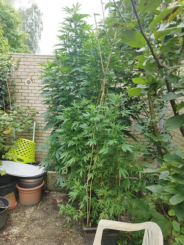 Growreport Bild 5
