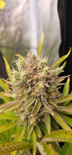 Growreport Bild 24