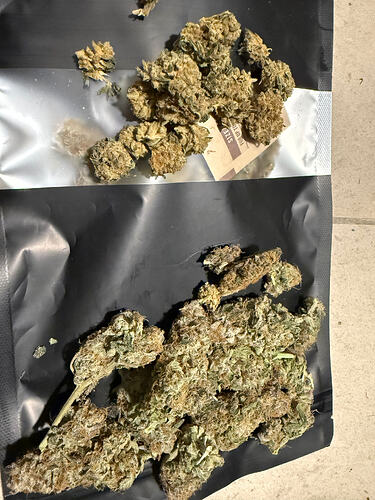 Growreport Bild 4