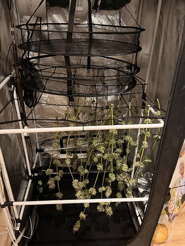 Growreport Bild 11