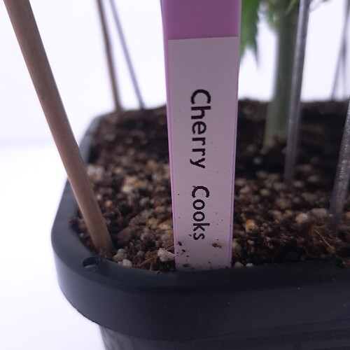 Growreport Bild 5