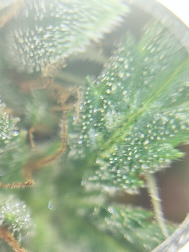 Growreport Bild 11
