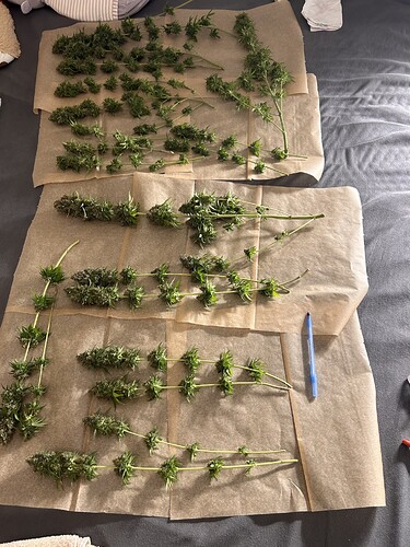 Growreport Bild 1