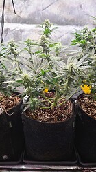 Growreport Bild 7
