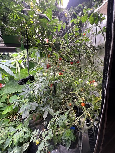 Growreport Bild 8