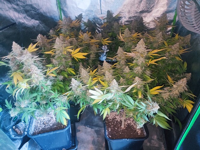 Growreport Bild 14