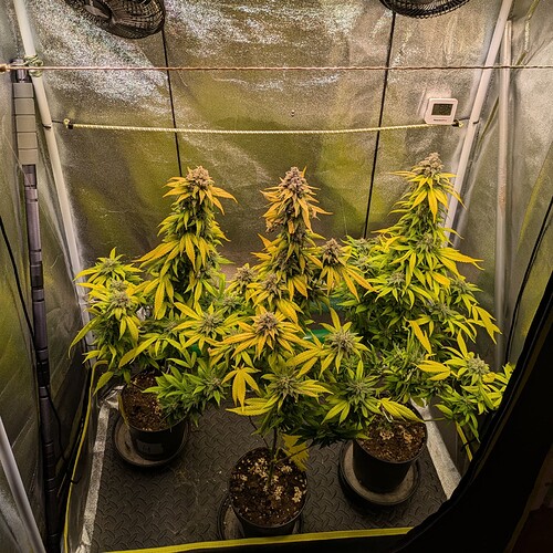 Growreport Bild 3