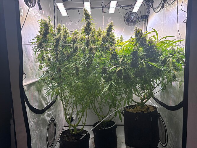 Growreport Bild 2