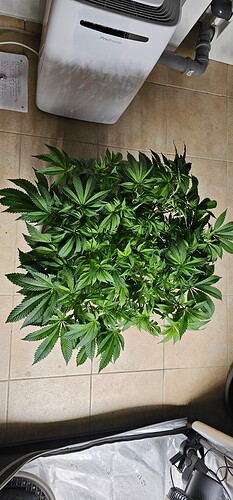 Growreport Bild 4