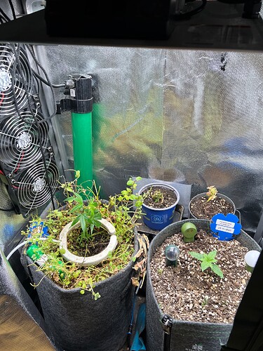 Growreport Bild 11