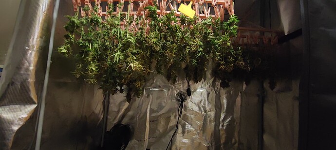 Growreport Bild 8