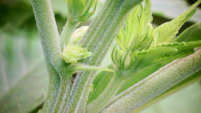 Growreport Bild 5