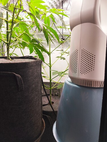 Growreport Bild 6