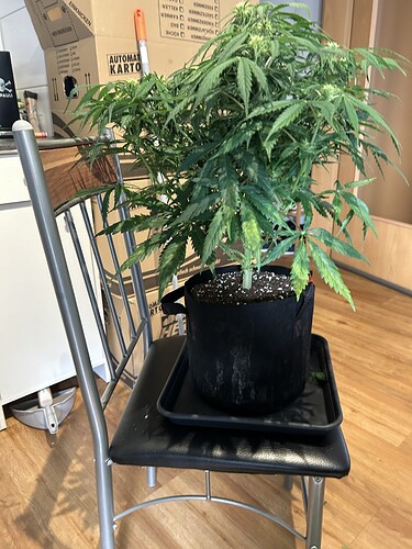 Growreport Bild 2