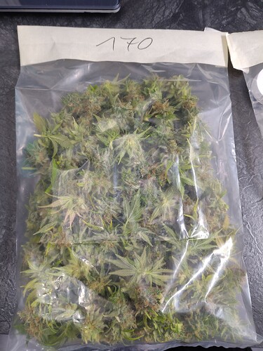 Growreport Bild 4