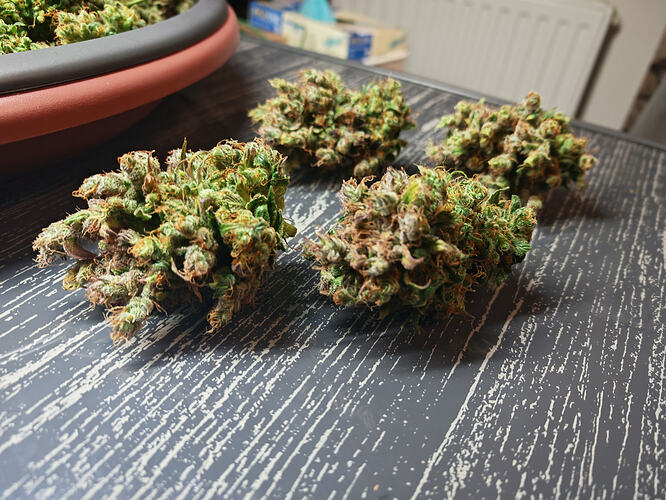 Growreport Bild 15
