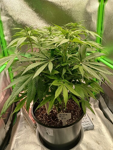 Growreport Bild 15