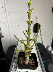 Growreport Bild 7