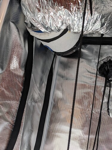 PXL_20240515_013548512