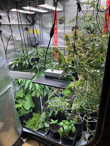 Growreport Bild 6