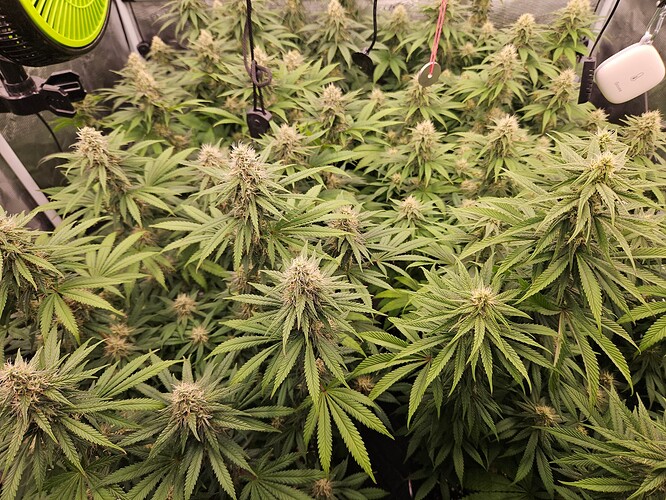 Growreport Bild 10