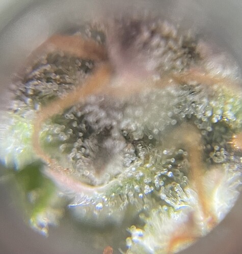 Growreport Bild 14