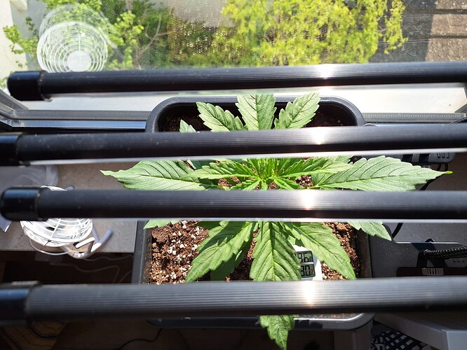 Growreport Bild 17