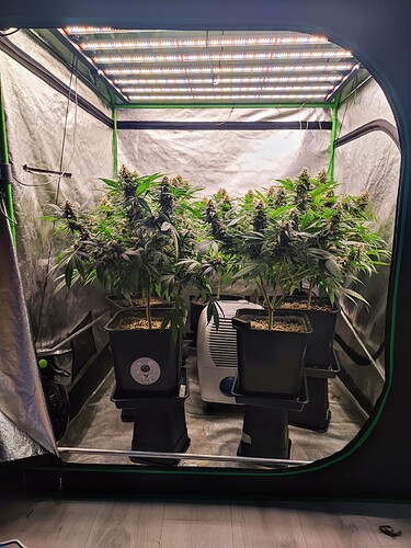 Growreport Bild 4