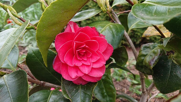 Growreport Bild 8