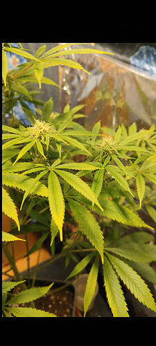 Screenshot_2026-02-22-20-01-59-264_com.miui.gallery