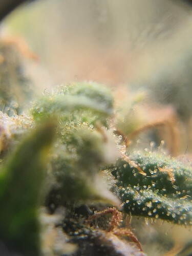 Growreport Bild 13
