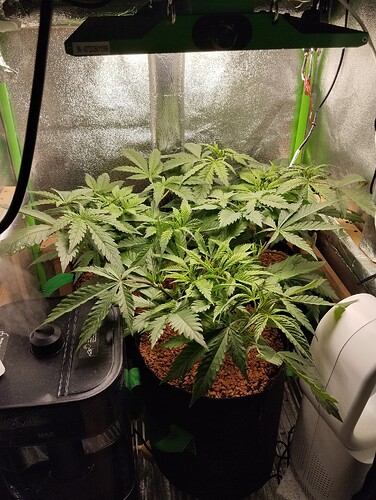 Growreport Bild 6