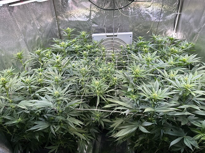 Growreport Bild 16