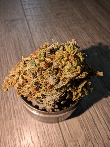 Growreport Bild 19