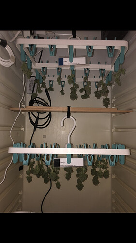 Growreport Bild 28