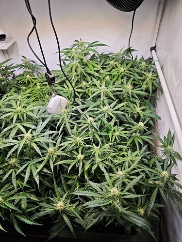 MVIMG_20251026_194045