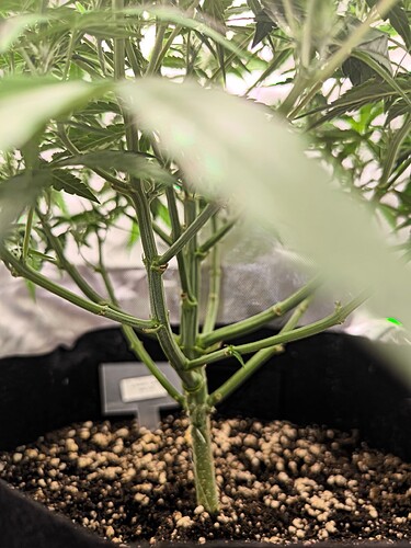 Growreport Bild 11