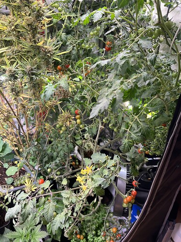 Growreport Bild 4