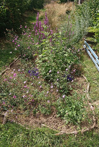 Growreport Bild 32