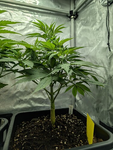 Growreport Bild 2