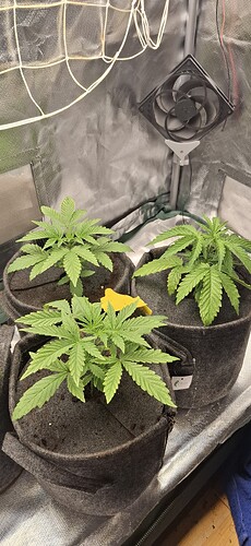 Growreport Bild 8