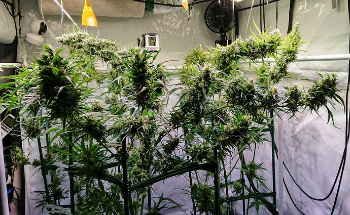 Growreport Bild 18