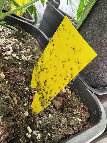 Growreport Bild 26