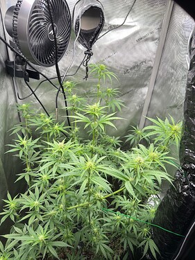 Growreport Bild 3