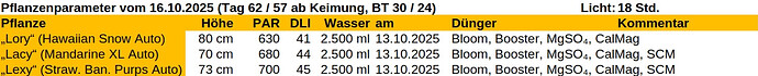 Growreport Bild 21