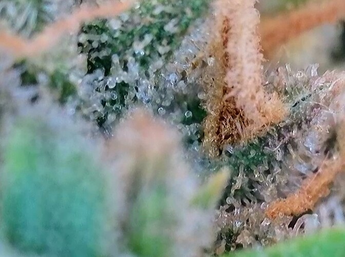 Growreport Bild 24