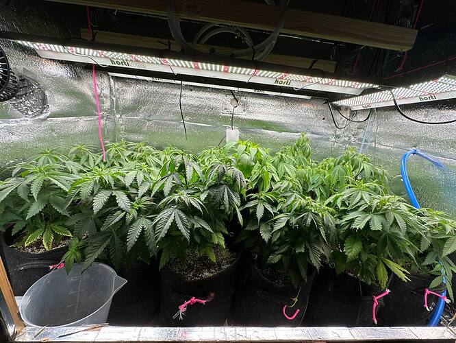 Growreport Bild 9