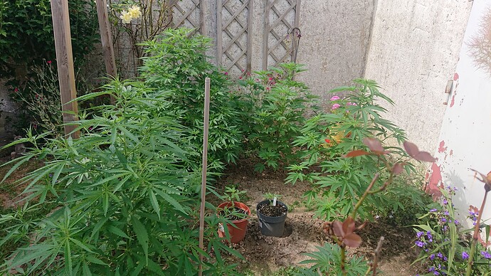 Growreport Bild 82