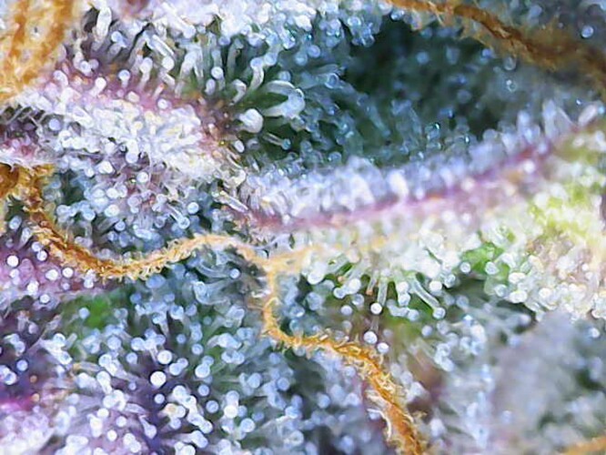 Photo_2024-07-06 20_06_58_514